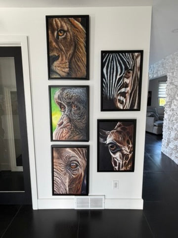 Animals in the Wild