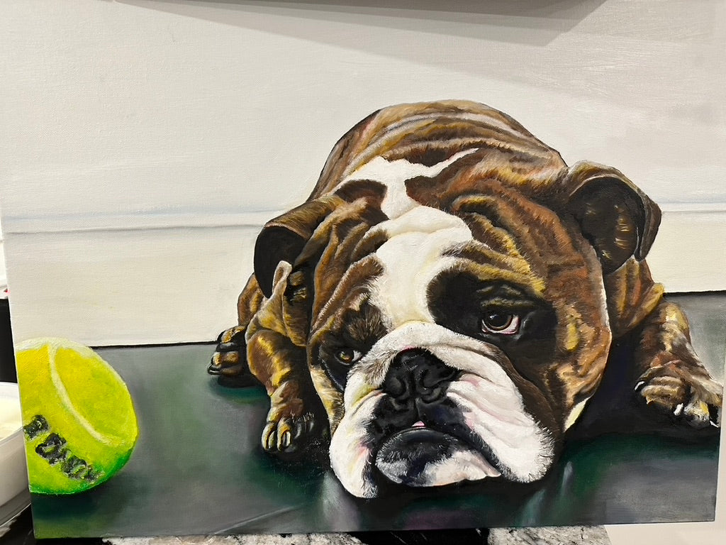 Dog Portraits