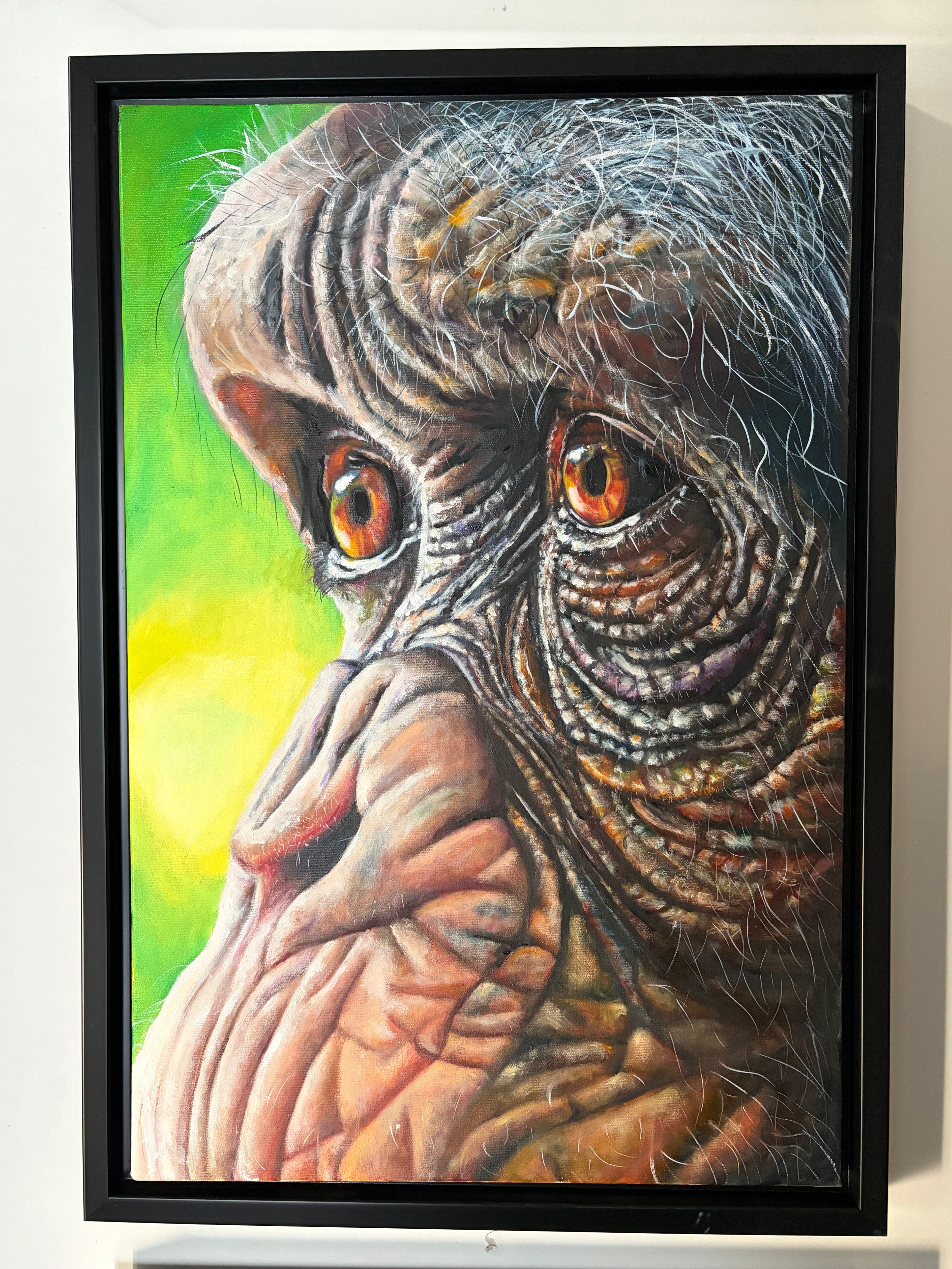 Chimp Eyes