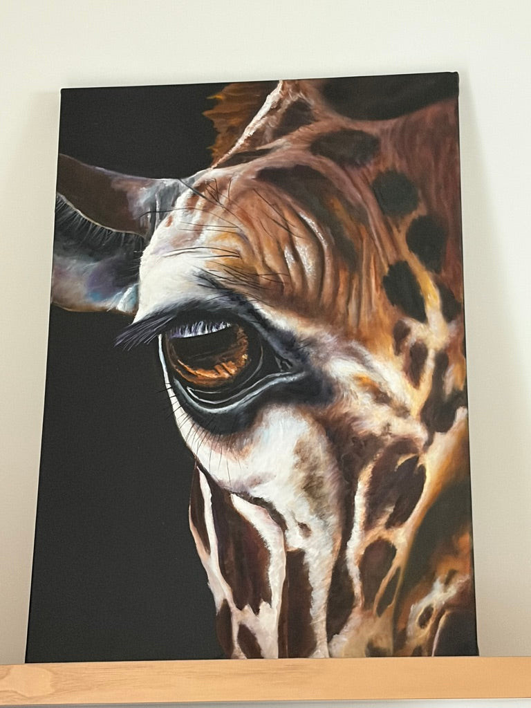 Giraffe Eye