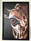 Giraffe Eye