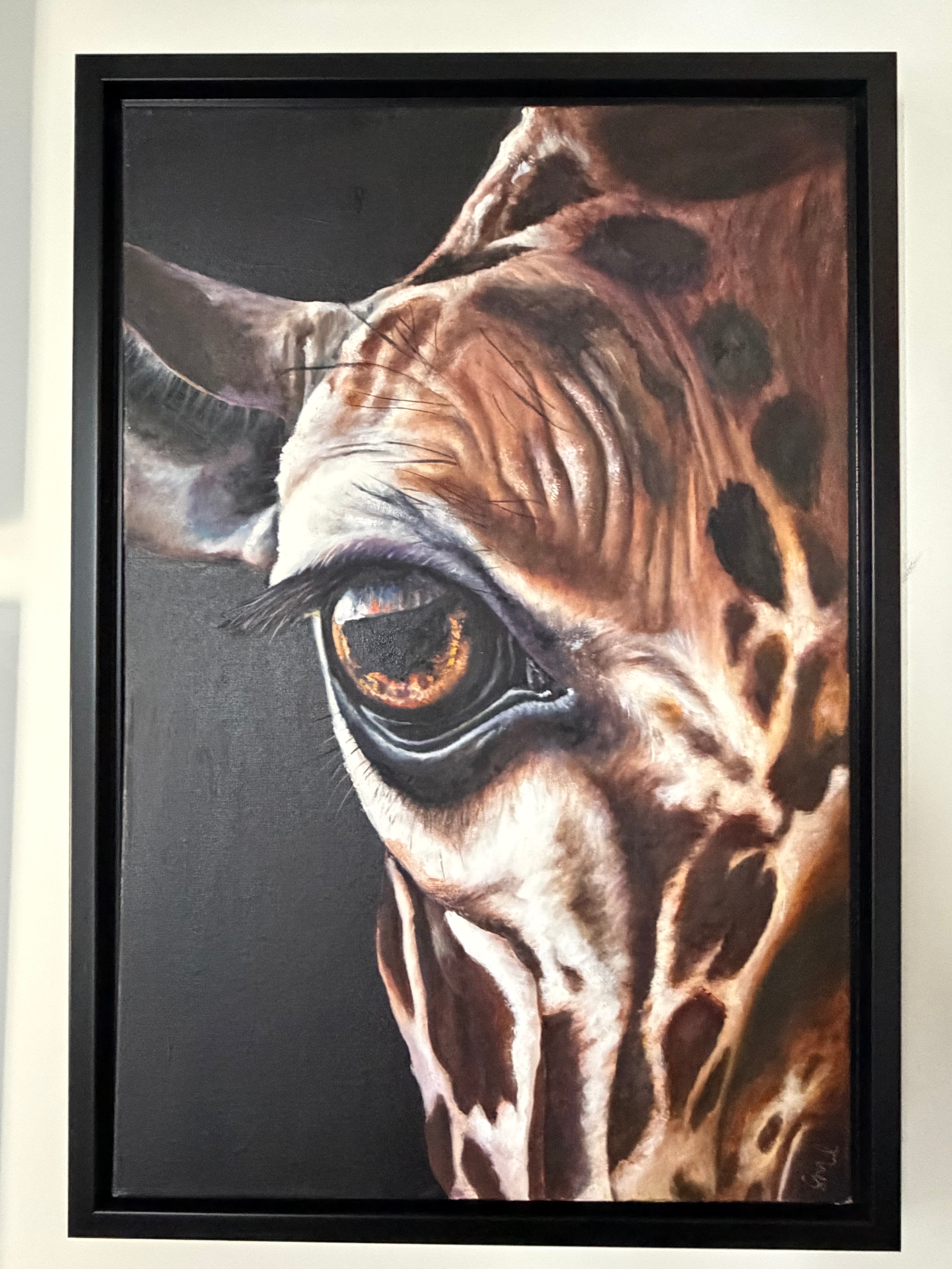 Giraffe Eye