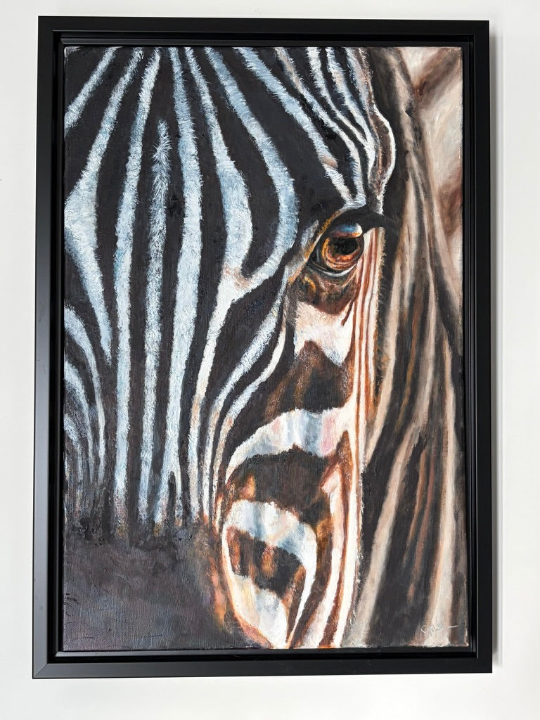 Zebra Eye