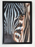 Zebra Eye