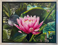 Water Lily