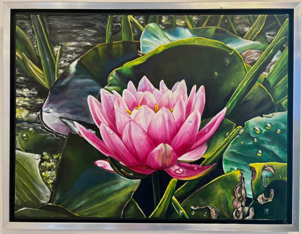 Water Lily