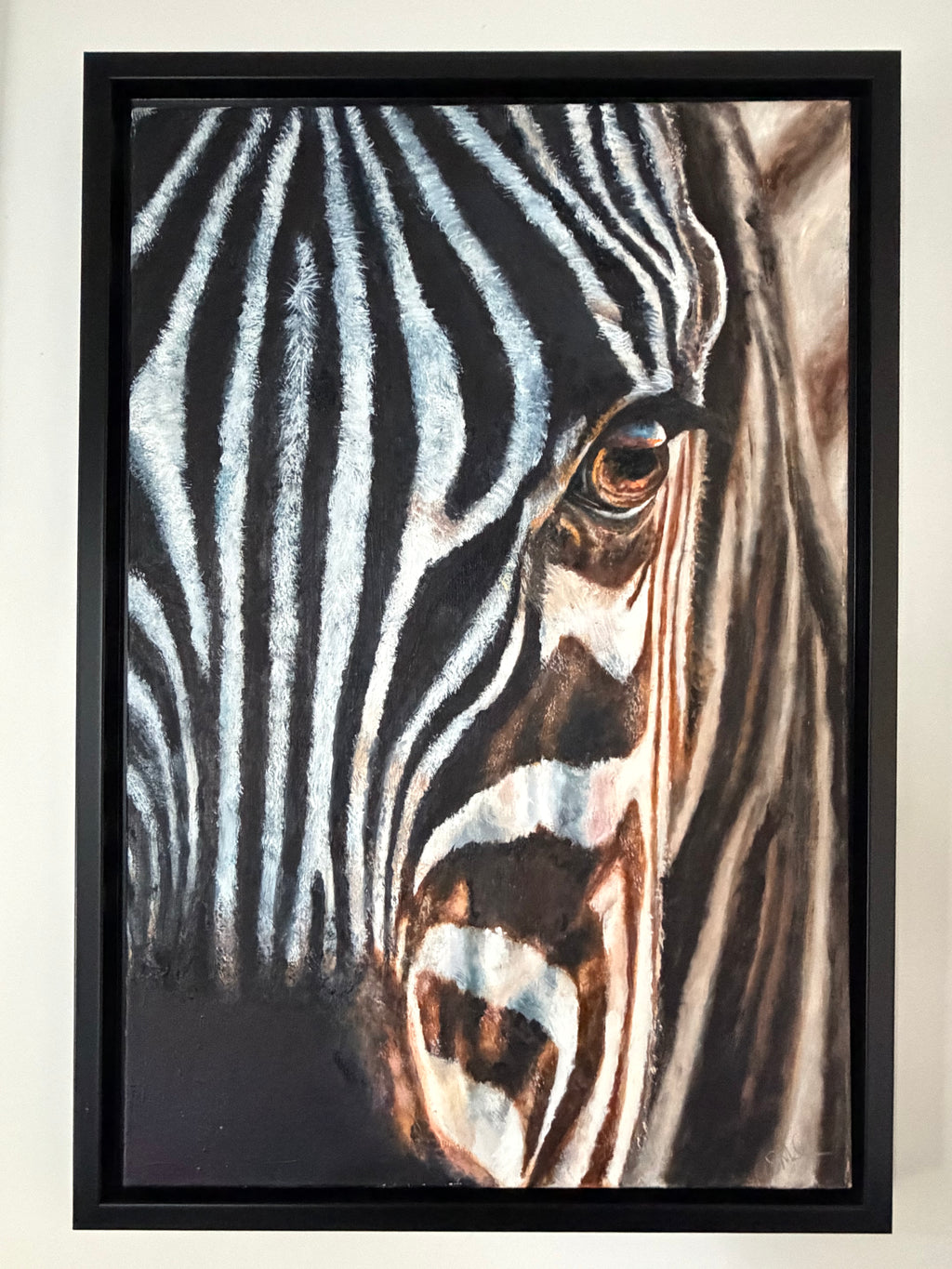 Zebra Eye