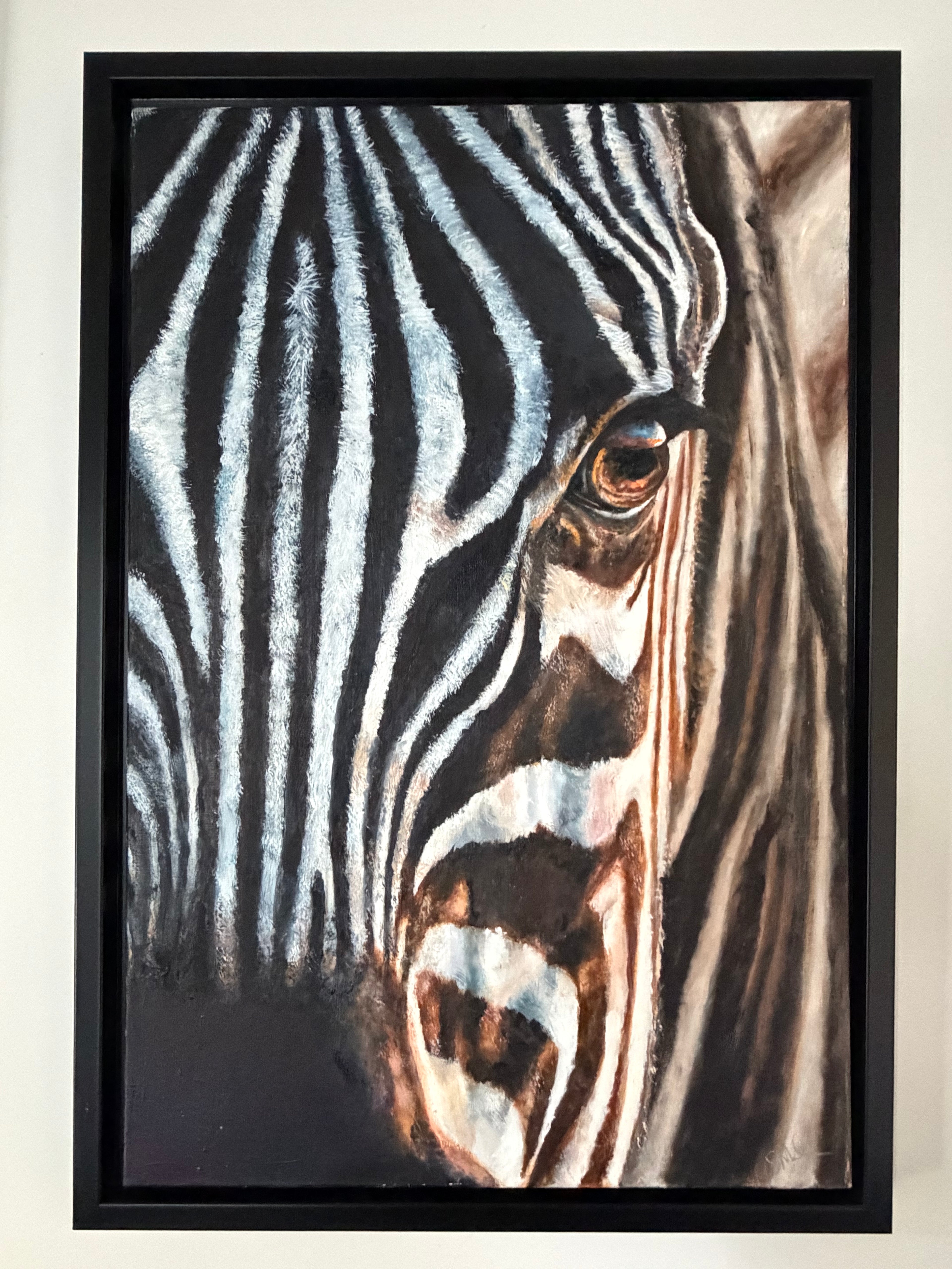 Zebra Eye